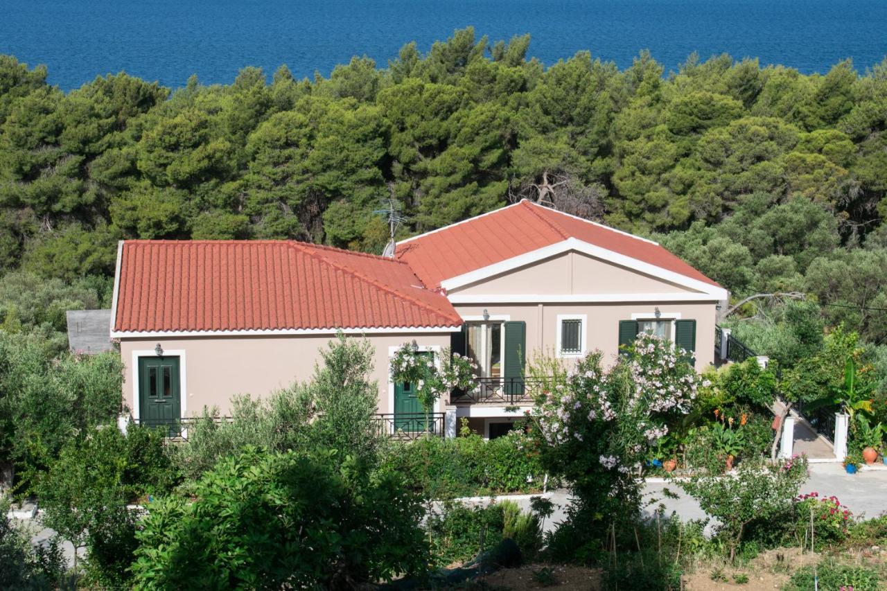 Seapine Studios Lassi  Exterior foto